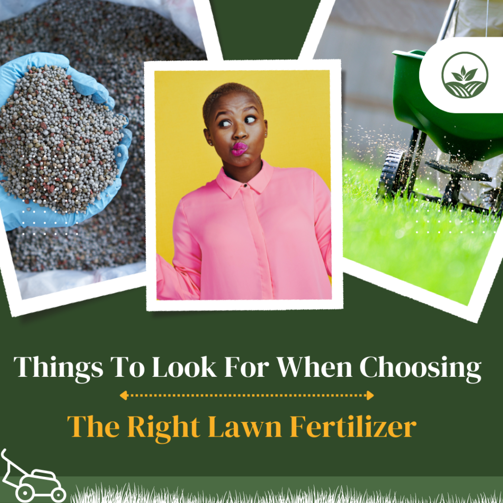 A Guide to help you choose the right lawn fertilizer