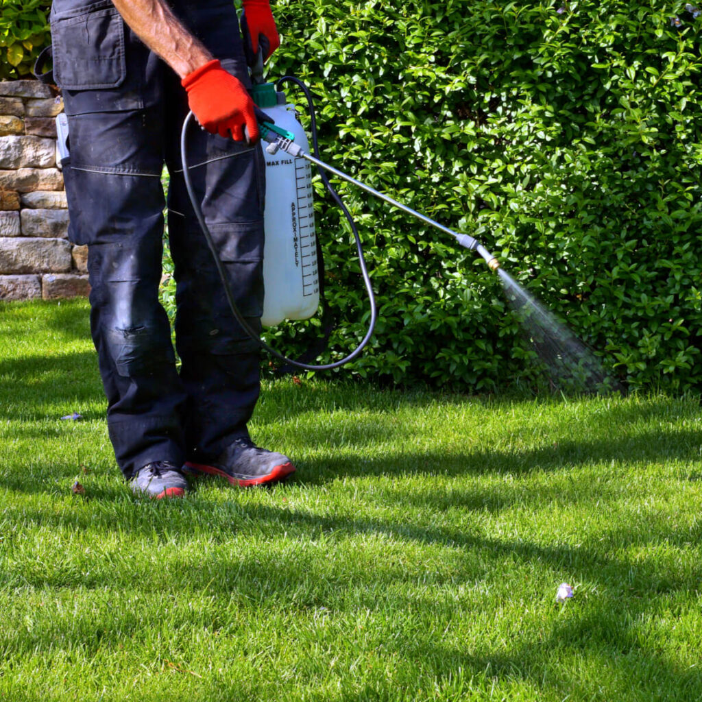 There are many lawn fertilizers to choose from, let us help you make the right choice with this helpful guide